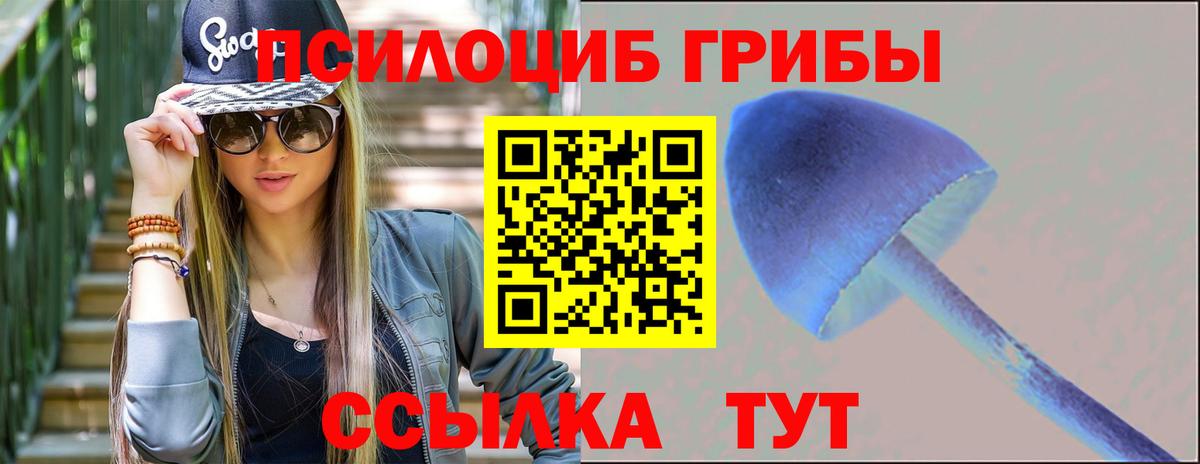 Галлюциногенные грибы Cubensis Нижнекамск