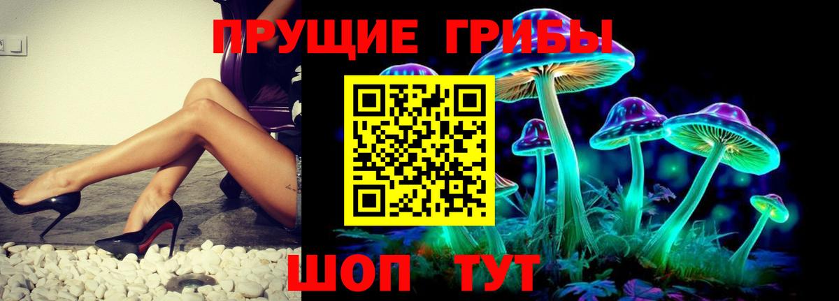 Нижнекамск  Галлюциногенные грибы ЛСД  Вход с VPN 